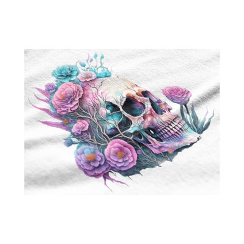 Exceptional Image Quality and Precise Details